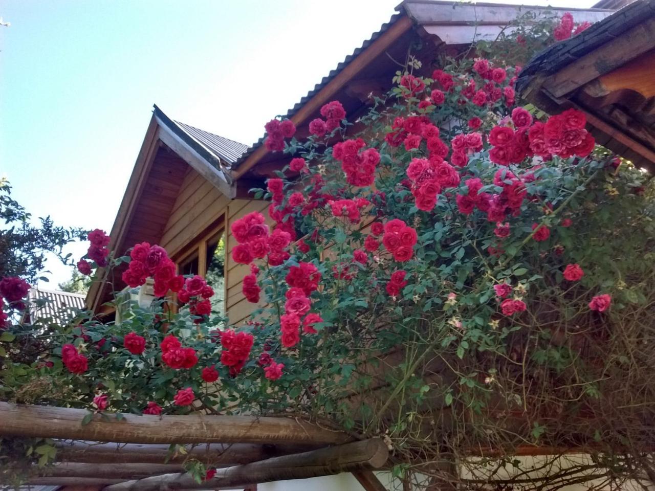 Cabanas Temporada San Martin de los Andes Exterior photo